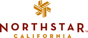 #2 Northstar Logo
