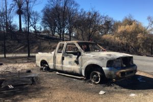 survivor stories from north bay fires