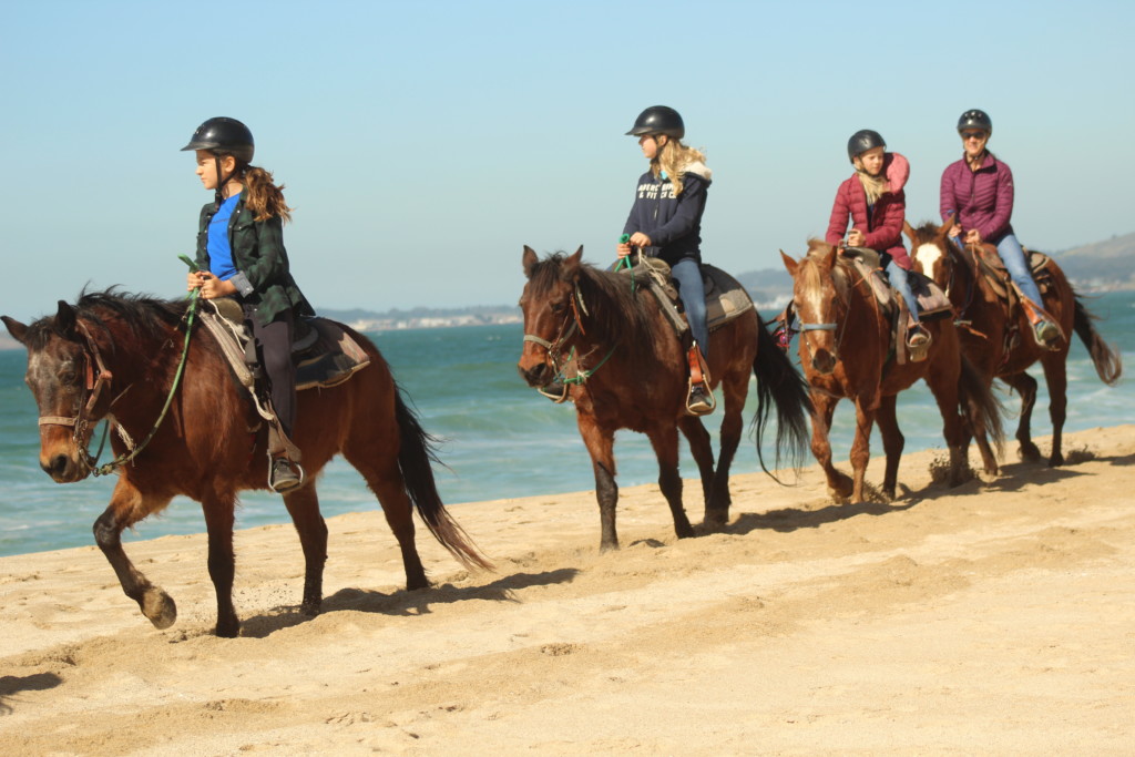 half moon bay things to do with kids