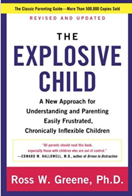 explosive child book review