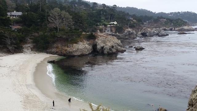 point lobos one day trip from bay area