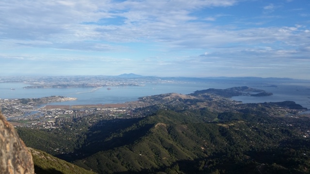 Mt Tam one day trips