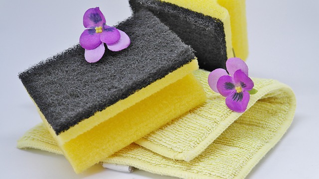 yellow sponges and purple flowers to represent spring cleaning