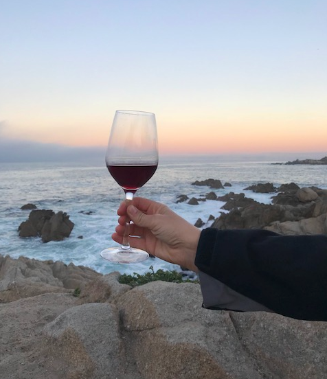 wine glass in front of beautiful ocean landscape. suggestions for places to outside with kids near san francisco