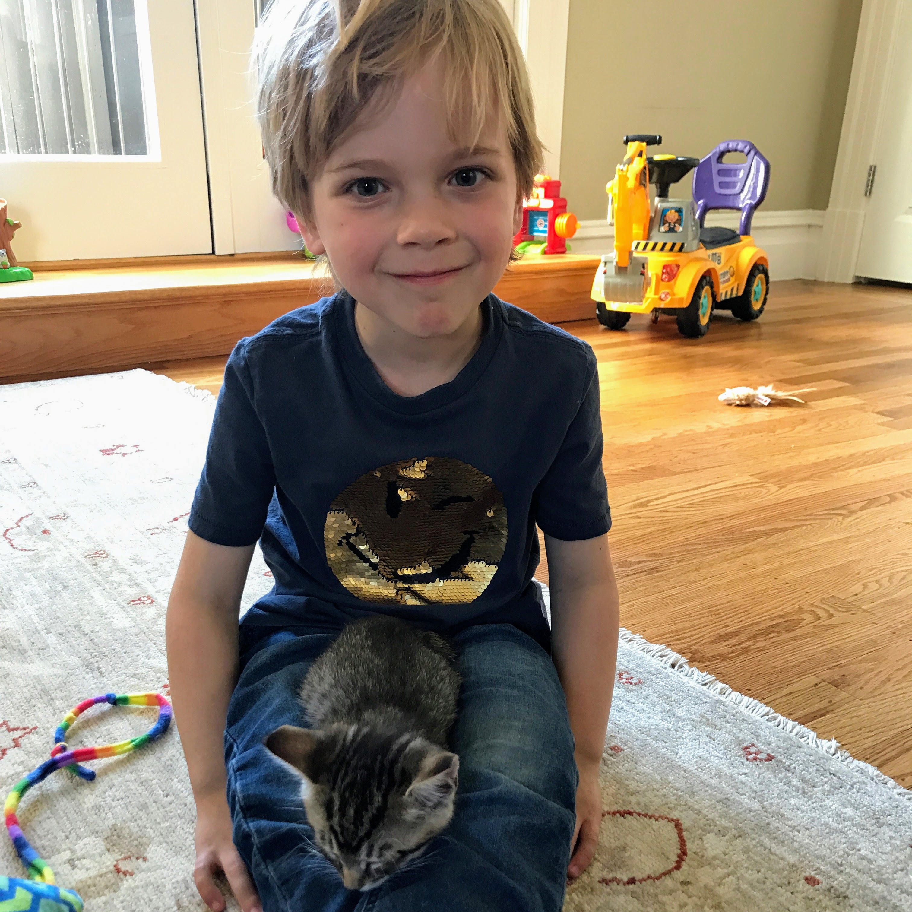 little boy with his new adopted kitten sitting in his lap