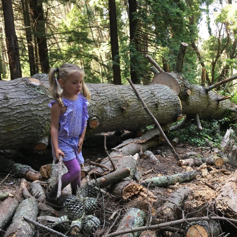Why You Should Consider Forest School Instead of Traditional Preschool