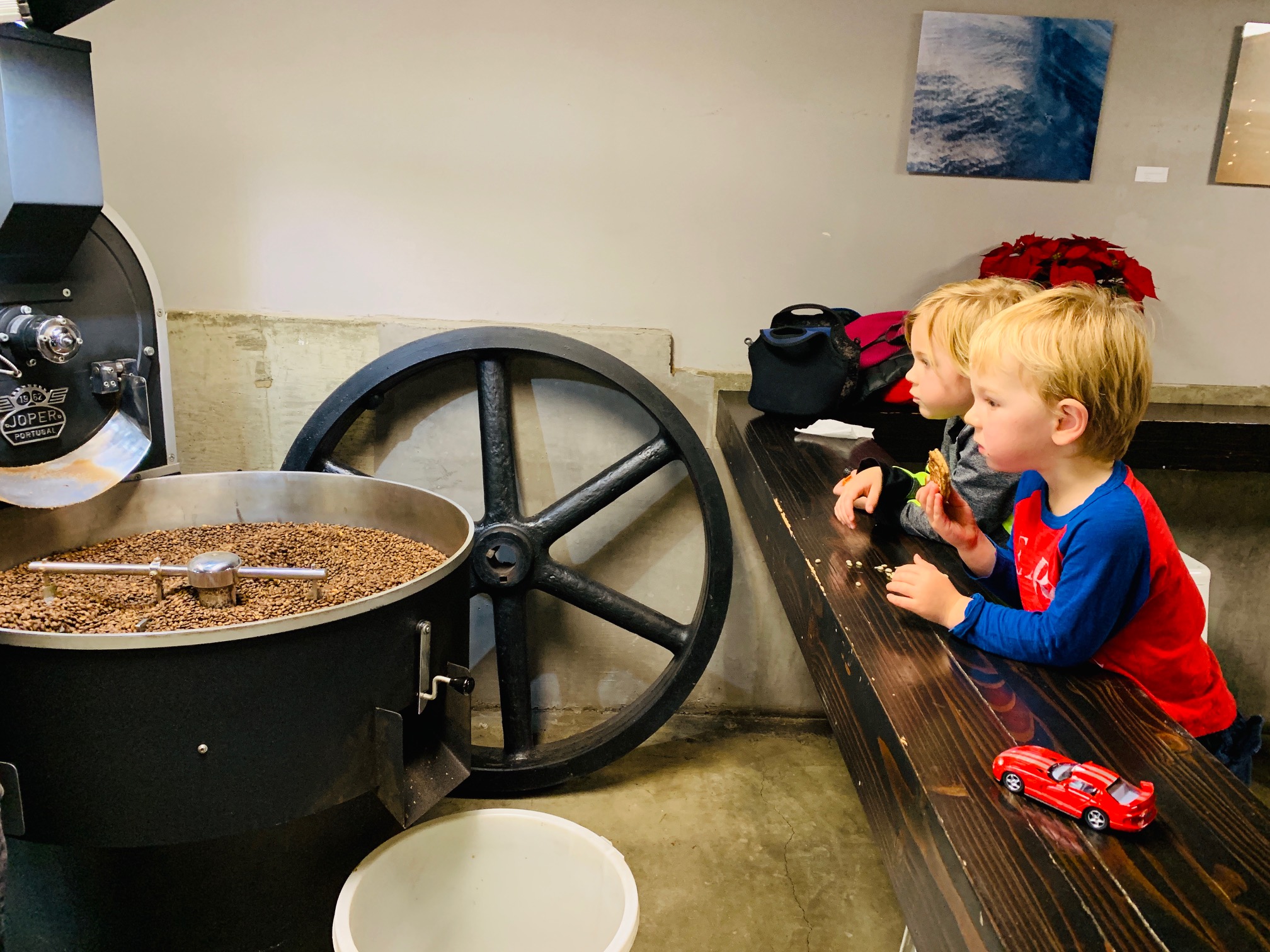 two preschool boys watching coffee beans roast