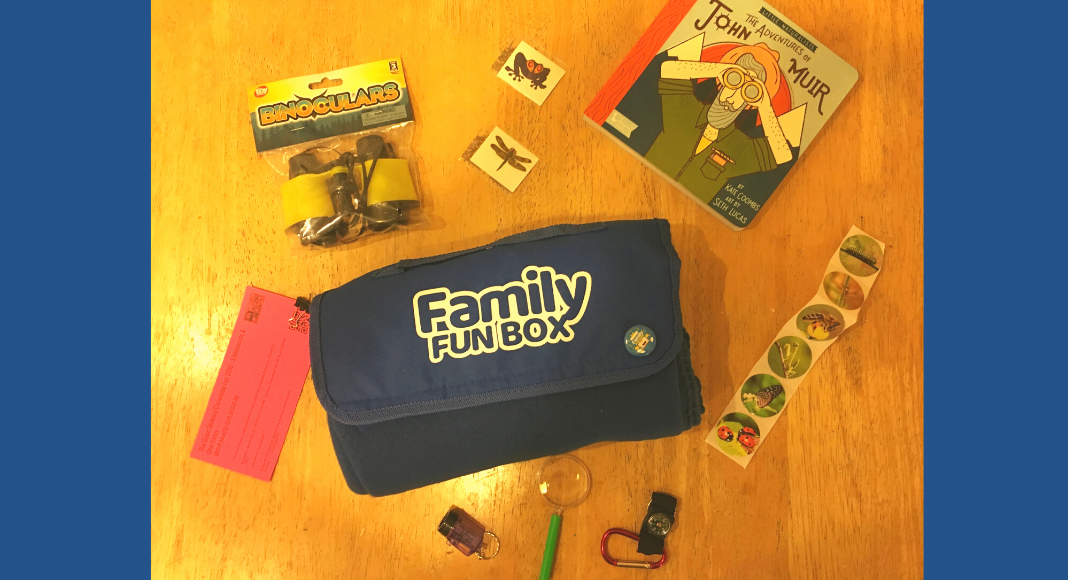 contents of a family fun box on display