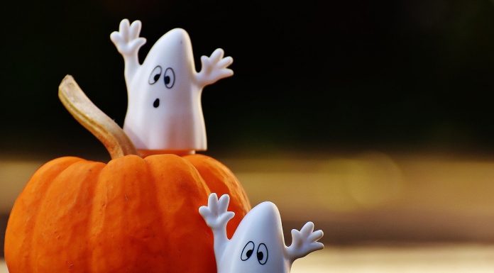Tips for a Spooky Wooky Fun Halloween Season