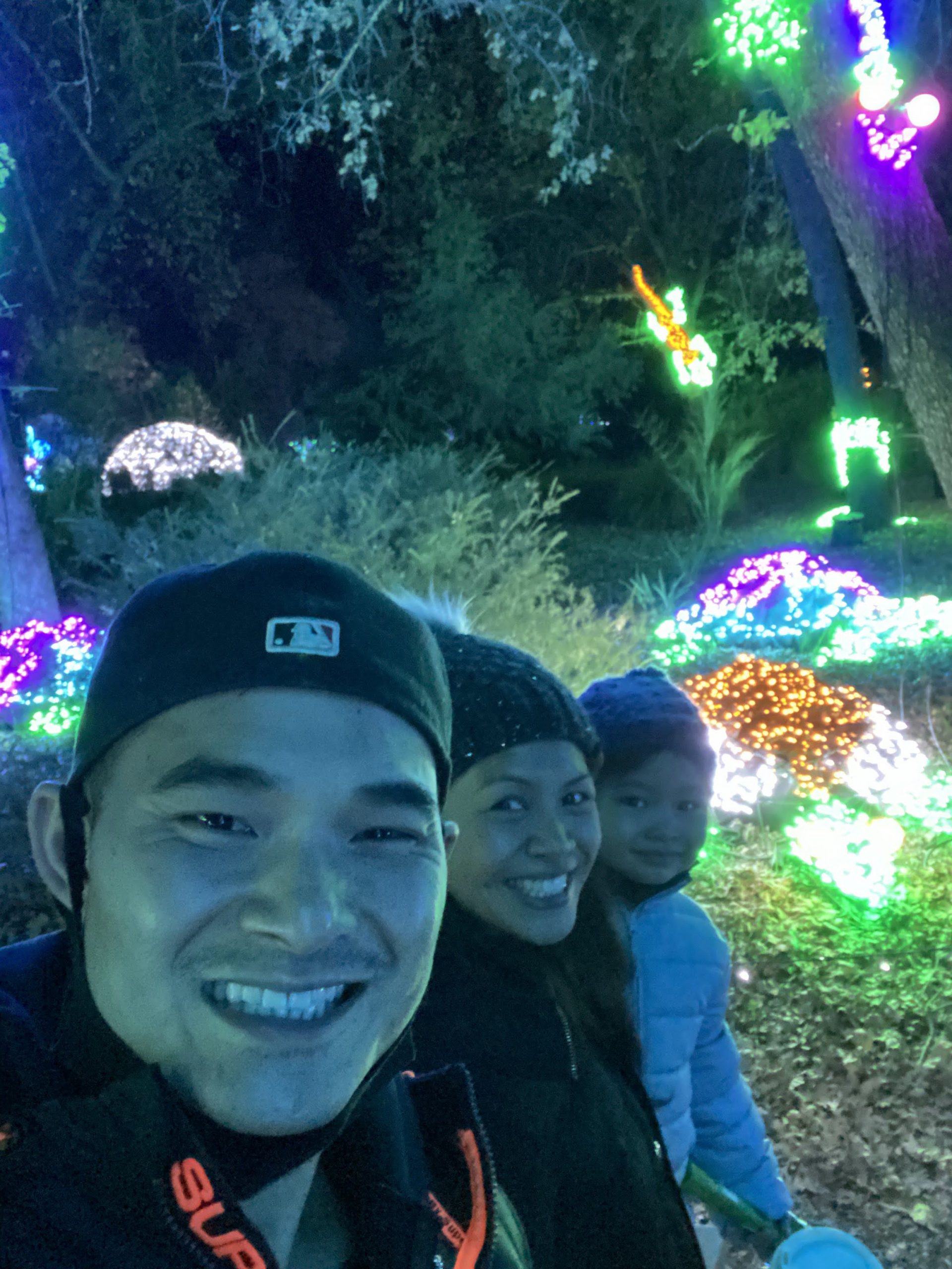 Redding Garden of Lights at Turtle Bay, a 'Must' Holiday Adventure