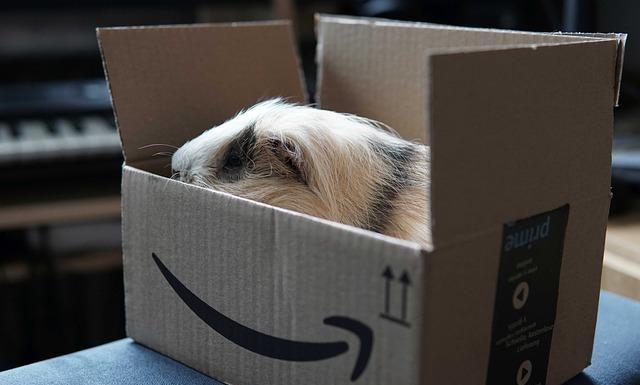Moms' Top Picks for Amazon Prime Day
