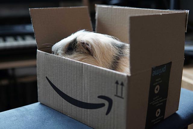 Moms' Top Picks for Amazon Prime Day