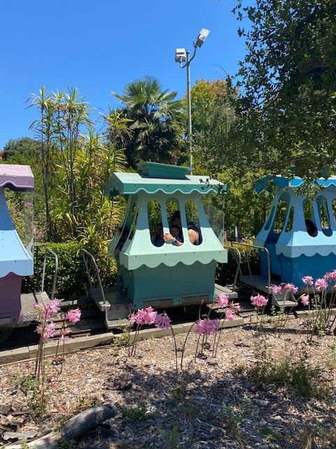 Fairyland in Oakland, CA. It's Still Great.