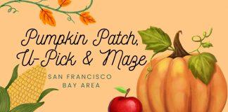 Pumpkin Patch, U-Pick, Maze Guide – San Francisco Bay Area