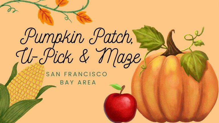 Pumpkin Patch, U-Pick, Maze Guide – San Francisco Bay Area