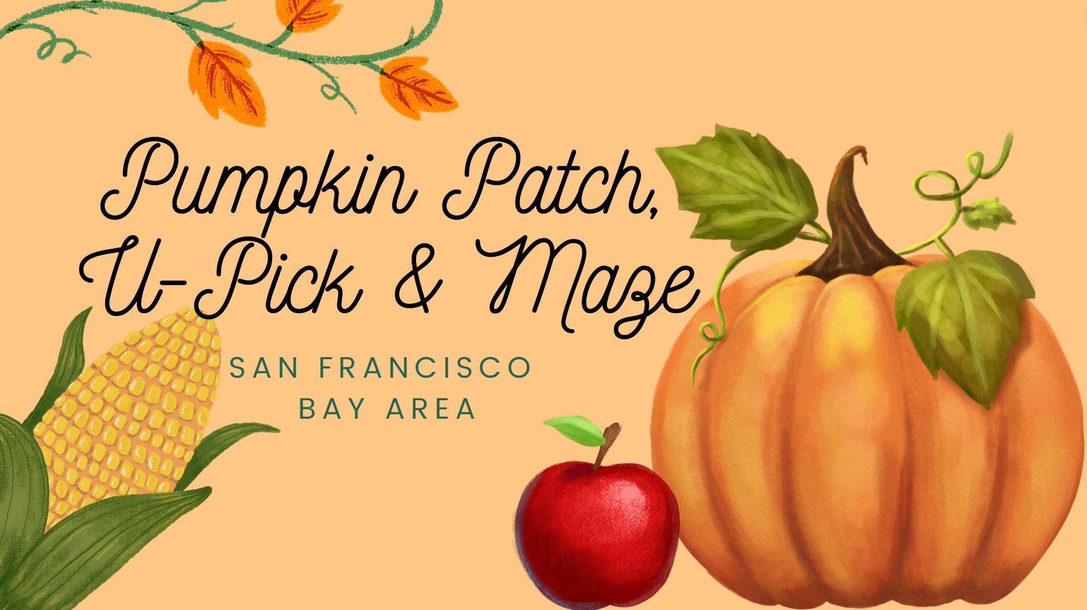 2022 Pumpkin Patch, U-Pick, Maze Guide - San Francisco Bay Area