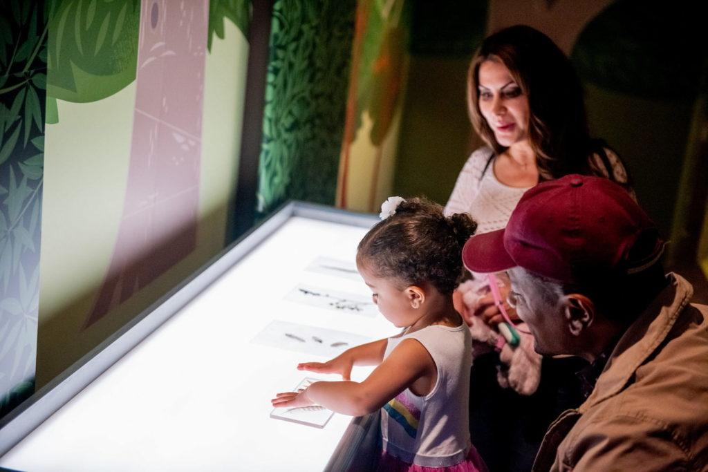 A Guide to Visiting the Oakland Museum with Kids