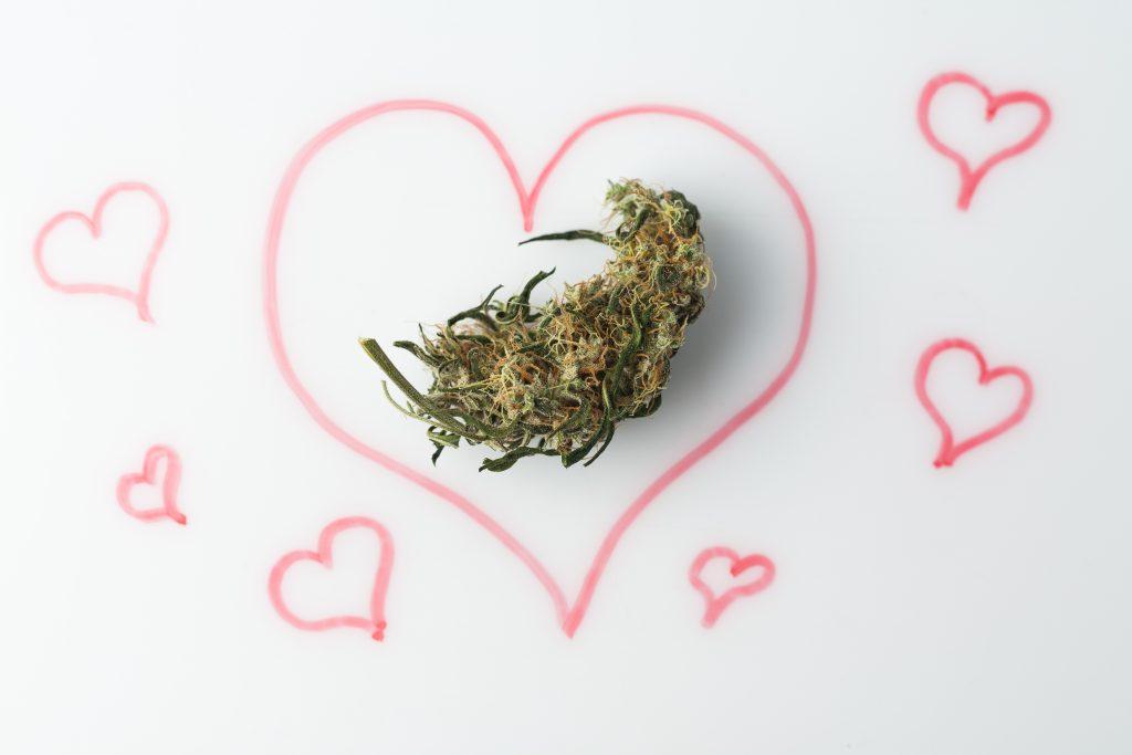 Exploring The Benefits Of Cbd For A Healthy Sexual Relationship