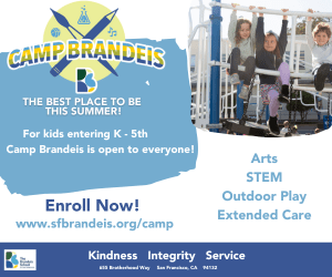 Check out Camp Brandeis this Summer!