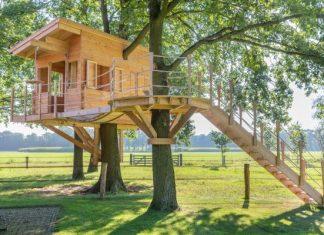 5 of the Best Backyard Play Structures for Your Children