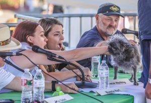 Sonoma-Marin Fair: A Spectacular Summer Adventure for Families!