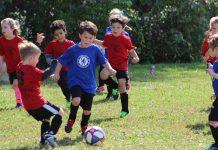 Unleashing the Power of Sports: Nurturing the Champions of Tomorrow