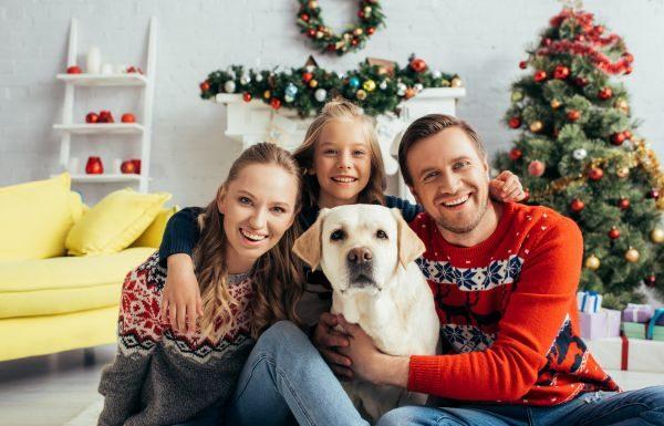 4 Ways To Keep Your Pet Safe During the Holidays