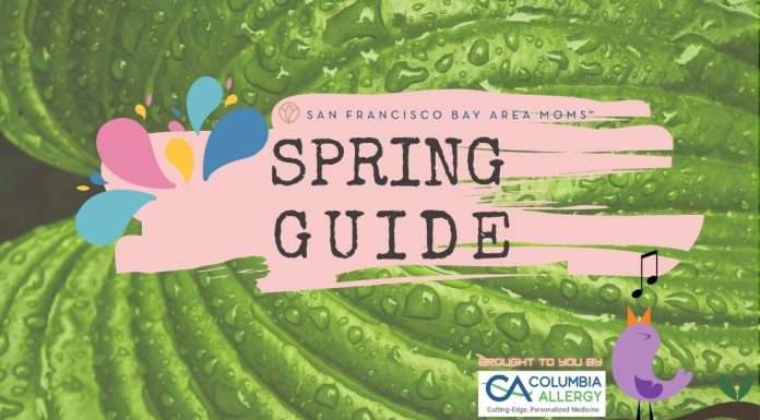 Spring Guide