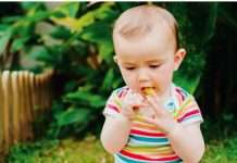 A baby in a colorful striped shirt sitting in a garden, holding a dandelion and putting it in their mouth.