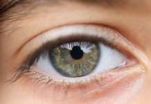 Can You Pass This Eye Health and Safety Test?