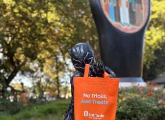 Building a Holiday Village with Allergy Champions