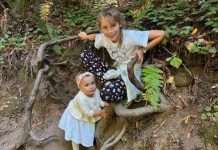 Muir Woods: A Perfect Day Trip for Bay Area Families