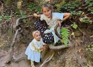 Muir Woods: A Perfect Day Trip for Bay Area Families