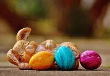 Natural Easter Egg Dyes: Food Safety Expert Explains What You Need to Know Before Coloring Eggs