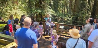 Family Nature Adventures: Birds
