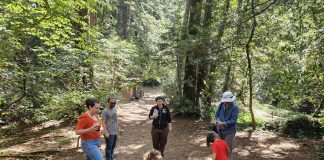 Family Nature Adventures: Reptiles