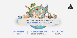 San Francisco Aid for Animals – Tea Party at the Zoo