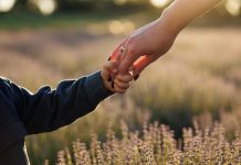 A little boy holding his mom's hand as they walk in a field of lavender. His mom has manicured nails with dark polish.