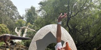 Dinos Rule! Extended Until January 2027 at San Francisco Zoo – Because Families Just Can’t Get Enough