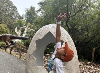 Dinos Rule! Extended Until January 2027 at San Francisco Zoo – Because Families Just Can’t Get Enough